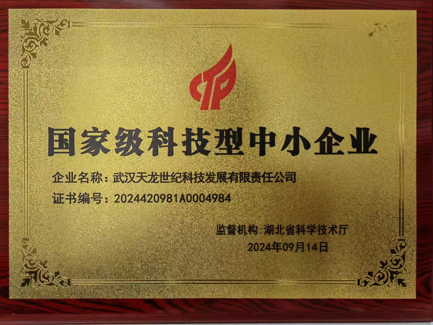 国家级科技型中小企业